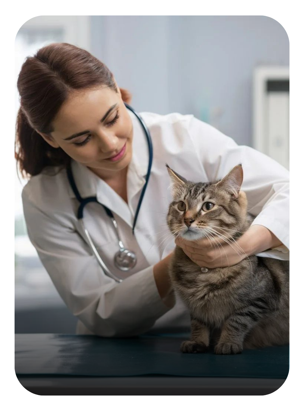 Veterinario Clyo in evidenza